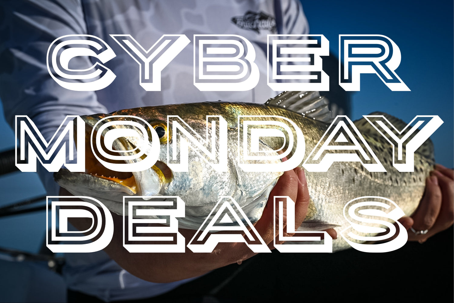 LAST CALL - MEGA DEALS!!