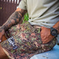 Wildland Camo Wade Shorts