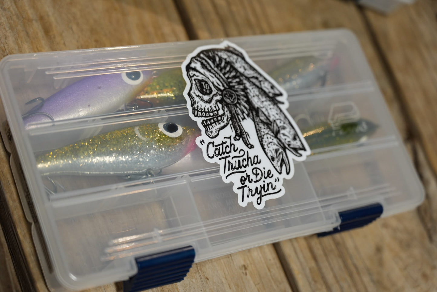Trucha Bait 6 Pack - CTODT