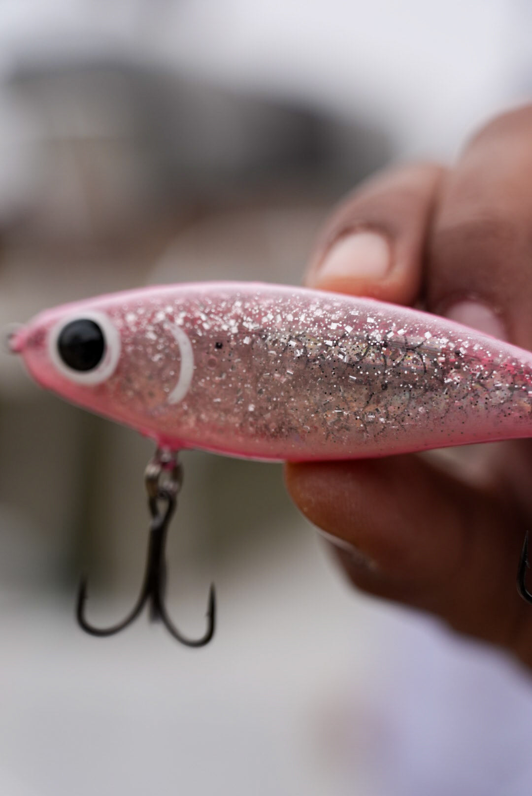 Miss Piggy Shallow Diver