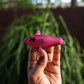 “PurpNasty" True Floater